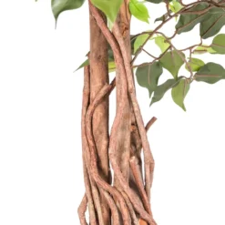 Kunstbaum Ficus Benjamini Grün 180 Cm -Homescapes Sale Haus ap1138 image 3