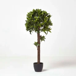 Kunstpflanze Lorbeerbaum Formgeschnitten Kugel 10 Kunstpflanze Lorbeerbaum Formgeschnitten Kugel -Homescapes Sale Haus ap1162 05