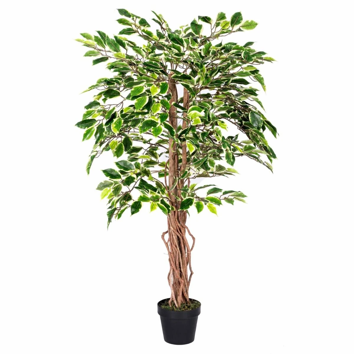 Kunstbaum Ficus Benjamini Grün Weiß 122 Cm 1 Kunstbaum Ficus Benjamini Grün Weiß 122 Cm