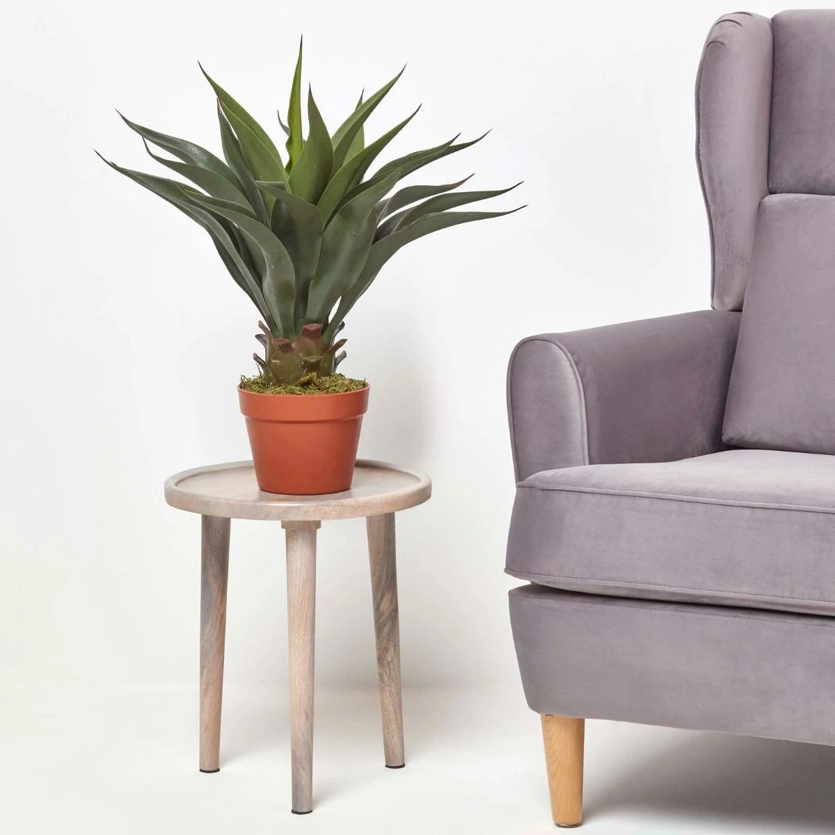 Kunstpflanze 'Century Plant' Agave Americana Im Topf, 60 Cm 6 Kunstpflanze 'Century Plant' Agave Americana Im Topf, 60 Cm – Bild 6