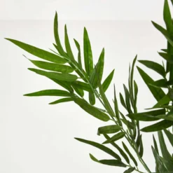 Kunstbaum Grün Bambus Im Topf, 95 Cm -Homescapes Sale Haus ap1291 d