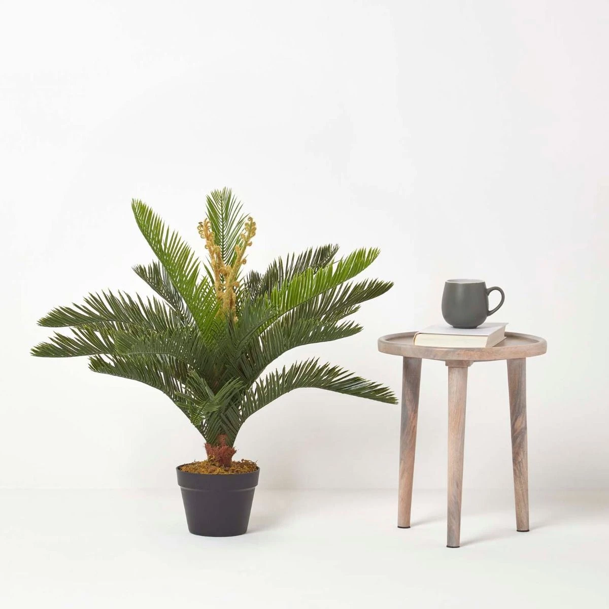 Kunstpflanze Grün 'Palmfarne' Cycadales Pflanze Im Topf, 75 Cm 6 Kunstpflanze Grün 'Palmfarne' Cycadales Pflanze Im Topf, 75 Cm – Bild 6