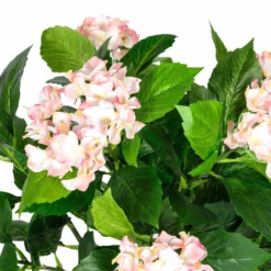 Kunstpflanze Pink 'Hortensie' Im Topf, 70 Cm 6 Kunstpflanze Pink 'Hortensie' Im Topf, 70 Cm -Homescapes Sale Haus ap1296b image 2