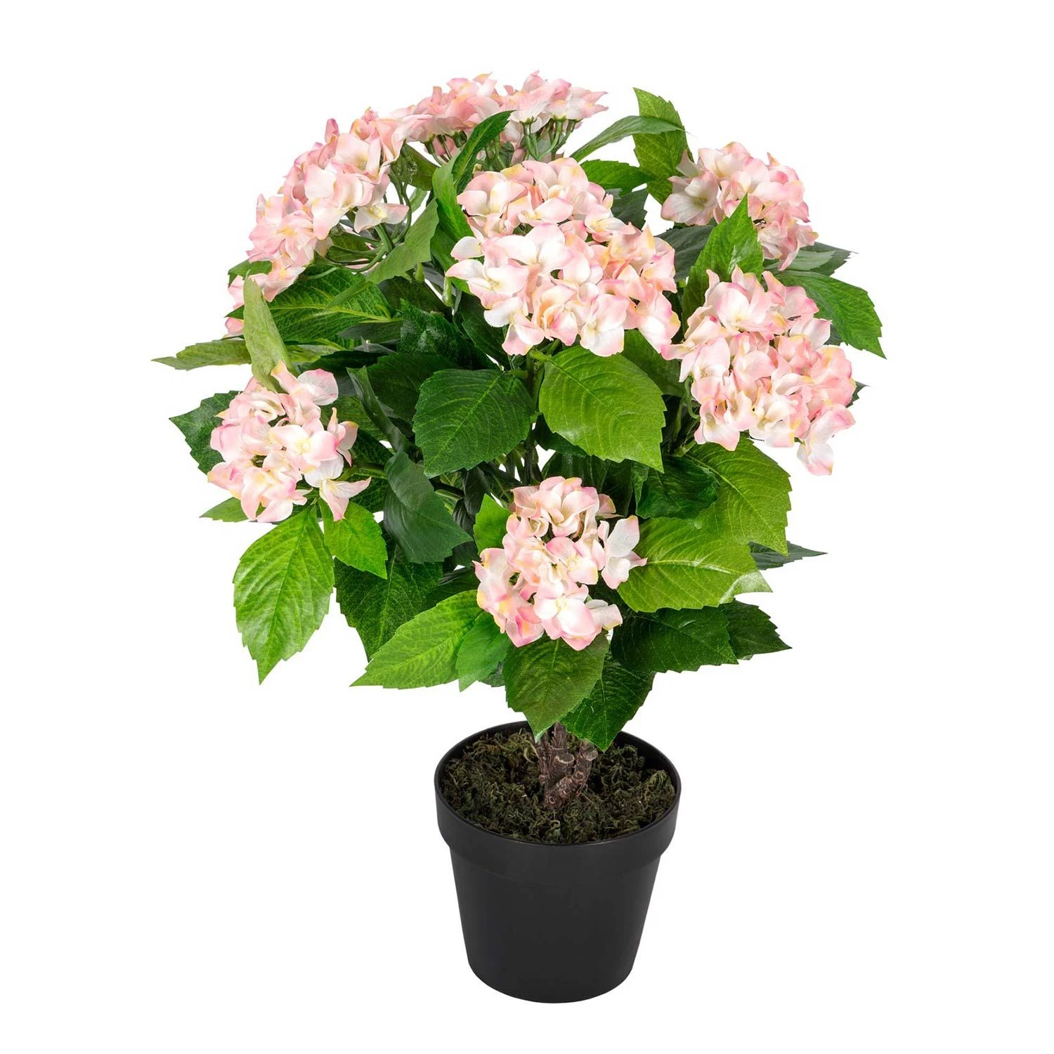 Kunstpflanze Pink 'Hortensie' Im Topf, 70 Cm 1 Kunstpflanze Pink 'Hortensie' Im Topf, 70 Cm