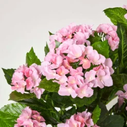 Kunstpflanze Pink 'Hortensie' Im Topf, 85 Cm -Homescapes Sale Haus ap1297c 04