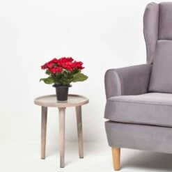 Grabschmuck Mohnblume Rot 11 Grabschmuck Mohnblume Rot -Homescapes Sale Haus ap1349 06