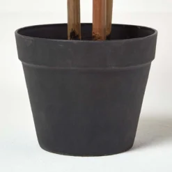 Künstlicher Bambus In Schwarzem Topf, 100 Cm Hoch -Homescapes Sale Haus ap1375 c