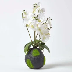 Kunstblumen Phalaenopsis Orchidee Weiß Mit Einem Natürliche Sockel, 60 Cm Hoch