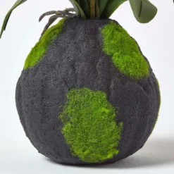 Kunstblumen Phalaenopsis Orchidee Weiß Mit Einem Natürliche Sockel, 60 Cm Hoch -Homescapes Sale Haus ap1382a 03