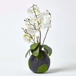 Kunstblumen Phalaenopsis Orchidee Weiß Mit Einem Natürliche Sockel, 60 Cm Hoch -Homescapes Sale Haus ap1382a 05