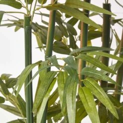 Artificial 6ft Bamboo Tree In Black Wooden Planter -Homescapes Sale Haus ap1548 6