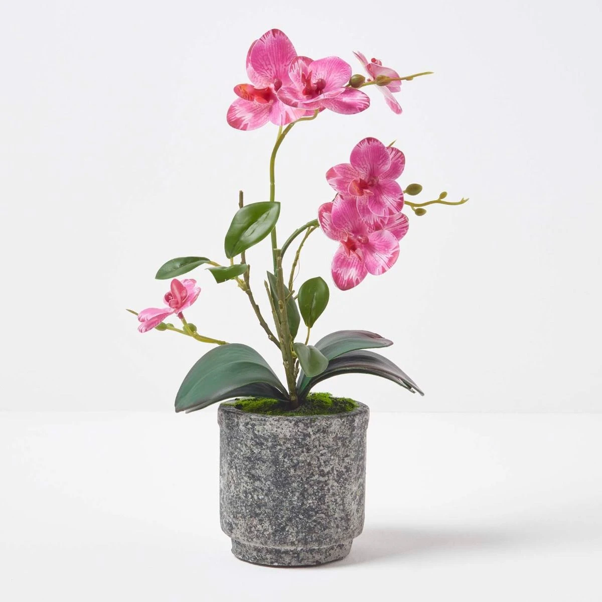 Künstliche Pinke Phalaenopsis-Orchidee Im Grauen Zement-Topf, 40 Cm 2 Künstliche Pinke Phalaenopsis-Orchidee Im Grauen Zement-Topf, 40 Cm – Bild 2