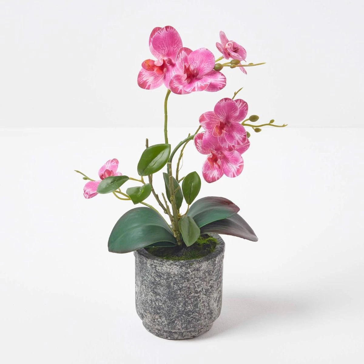 Künstliche Pinke Phalaenopsis-Orchidee Im Grauen Zement-Topf, 40 Cm 1 Künstliche Pinke Phalaenopsis-Orchidee Im Grauen Zement-Topf, 40 Cm