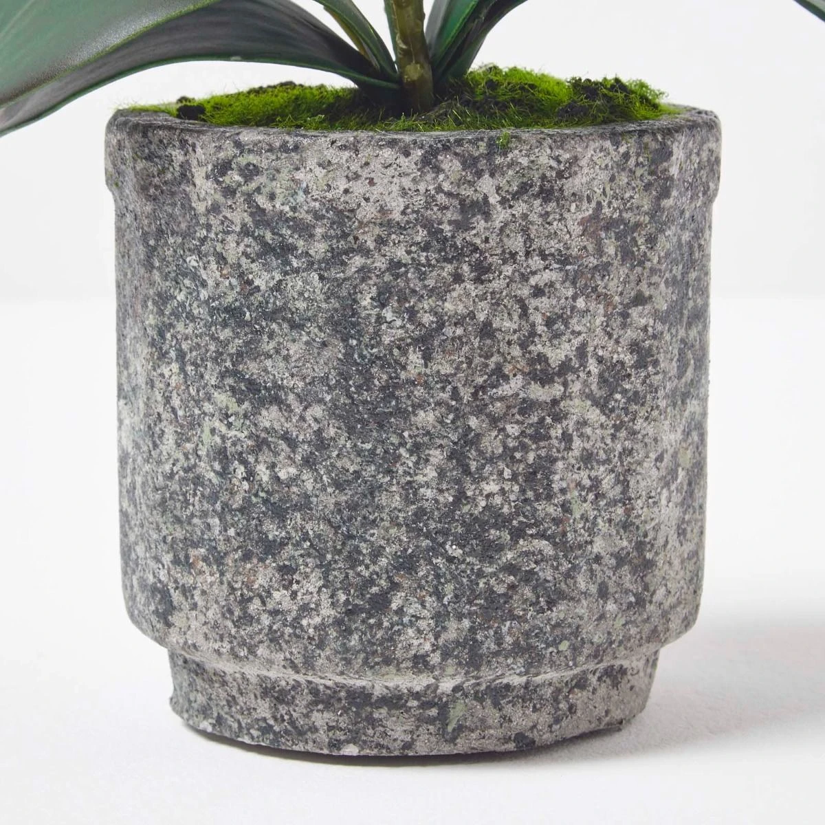 Künstliche Pinke Phalaenopsis-Orchidee Im Grauen Zement-Topf, 40 Cm 4 Künstliche Pinke Phalaenopsis-Orchidee Im Grauen Zement-Topf, 40 Cm – Bild 4