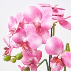 Künstliche Pinke Phalaenopsis-Orchidee Im Weißen Keramik-Topf, 54 Cm 11 Künstliche Pinke Phalaenopsis-Orchidee Im Weißen Keramik-Topf, 54 Cm -Homescapes Sale Haus ap1565 5