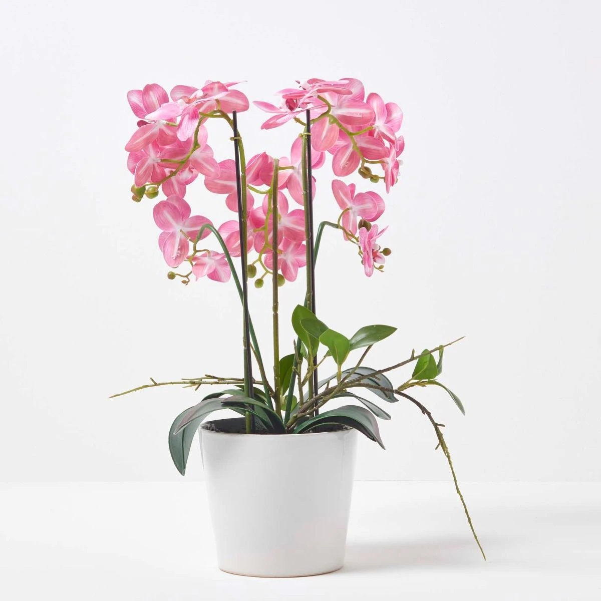 Künstliche Pinke Phalaenopsis-Orchidee Im Weißen Keramik-Topf, 54 Cm 6 Künstliche Pinke Phalaenopsis-Orchidee Im Weißen Keramik-Topf, 54 Cm – Bild 6