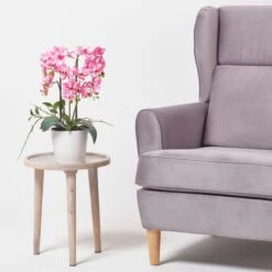 Künstliche Pinke Phalaenopsis-Orchidee Im Weißen Keramik-Topf, 54 Cm 13 Künstliche Pinke Phalaenopsis-Orchidee Im Weißen Keramik-Topf, 54 Cm -Homescapes Sale Haus ap1565 7