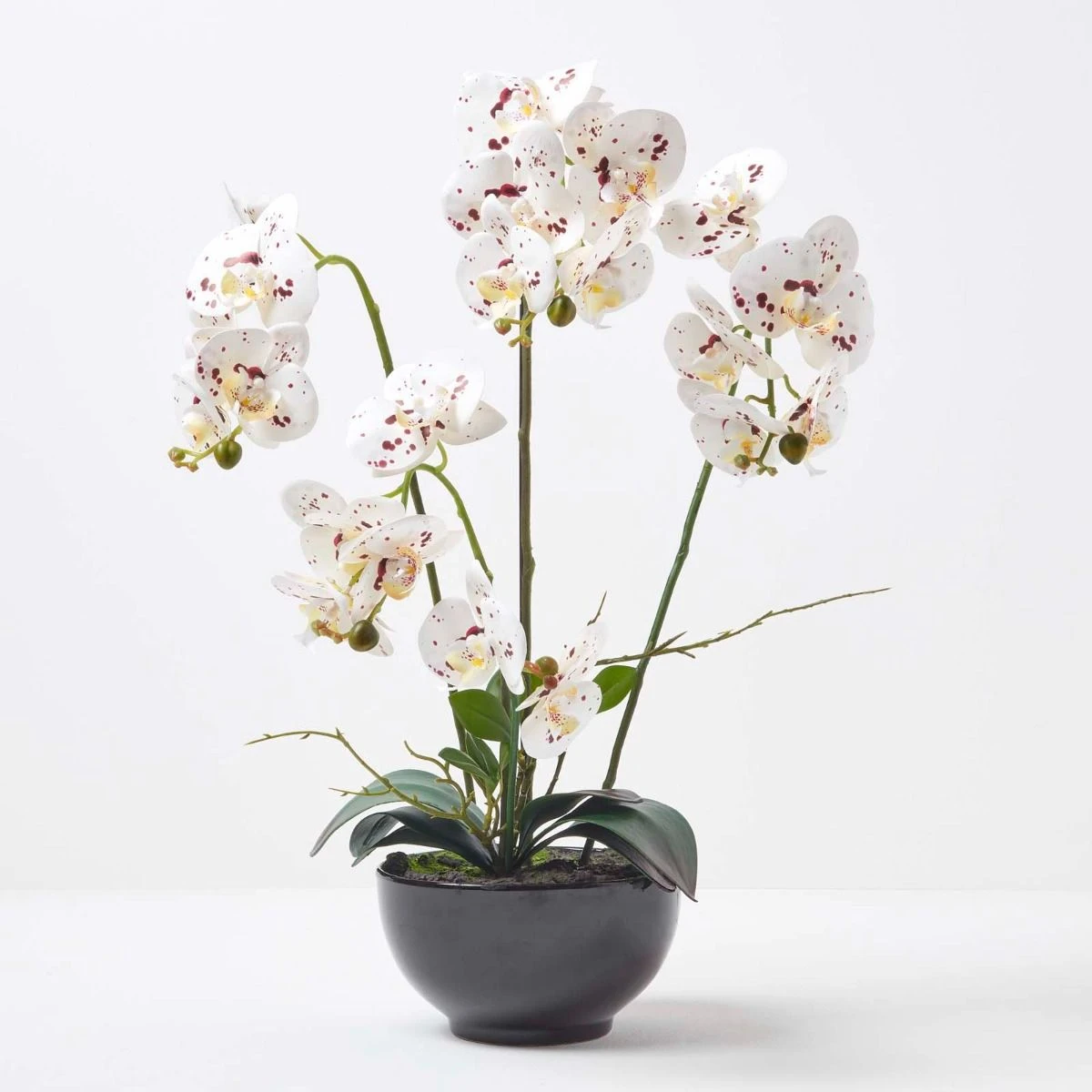Künstliche Weiße Phalaenopsis-Orchidee Im Schwarzen Keramik-Topf, 62 Cm 4 Künstliche Weiße Phalaenopsis-Orchidee Im Schwarzen Keramik-Topf, 62 Cm – Bild 4