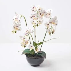 Künstliche Weiße Phalaenopsis-Orchidee Im Schwarzen Keramik-Topf, 62 Cm 9 Künstliche Weiße Phalaenopsis-Orchidee Im Schwarzen Keramik-Topf, 62 Cm -Homescapes Sale Haus ap1571 2