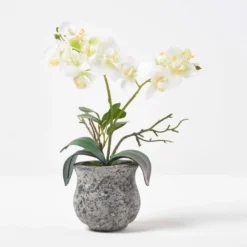 Künstliche Weiß-grüne Phalaenopsis-Orchidee Im Dunklen Zement-Topf, 32 Cm