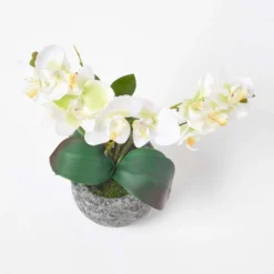 Künstliche Weiß-grüne Phalaenopsis-Orchidee Im Dunklen Zement-Topf, 32 Cm 9 Künstliche Weiß-grüne Phalaenopsis-Orchidee Im Dunklen Zement-Topf, 32 Cm -Homescapes Sale Haus ap1580 3