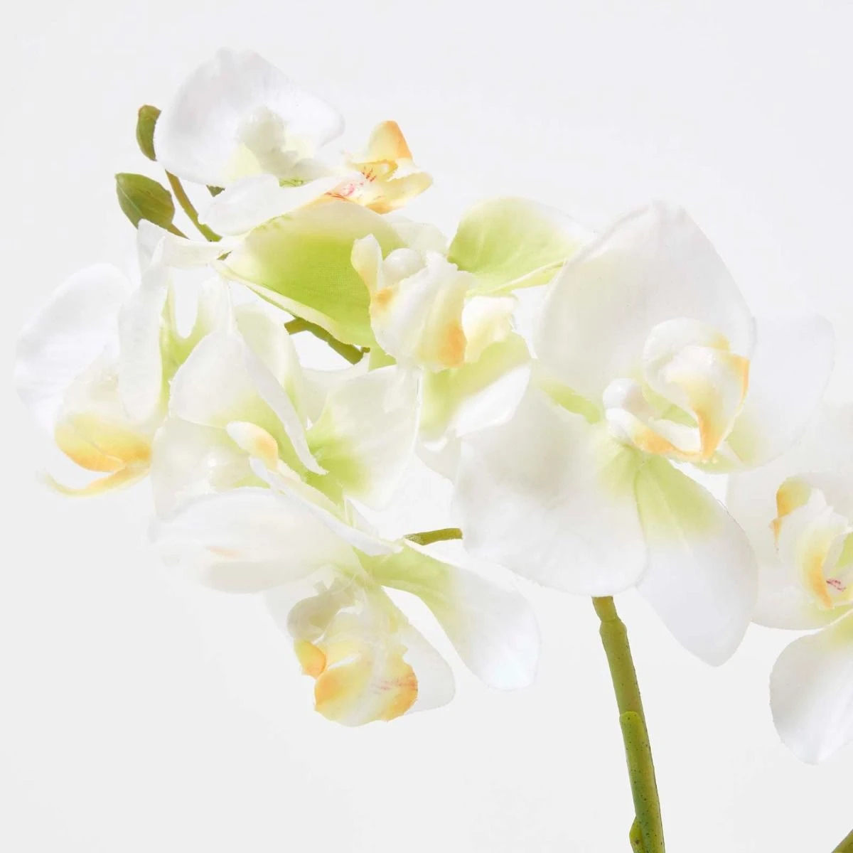 Künstliche Weiß-grüne Phalaenopsis-Orchidee Im Dunklen Zement-Topf, 32 Cm 5 Künstliche Weiß-grüne Phalaenopsis-Orchidee Im Dunklen Zement-Topf, 32 Cm – Bild 5