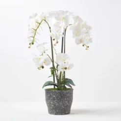 Künstliche Weiße Phalaenopsis-Orchidee Im Dunkelgrauen Keramik-Topf, 82 Cm