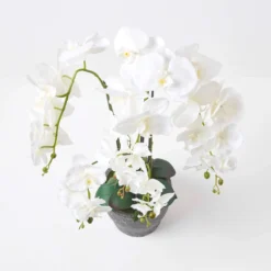 Künstliche Weiße Phalaenopsis-Orchidee Im Dunkelgrauen Keramik-Topf, 82 Cm -Homescapes Sale Haus ap1584 3
