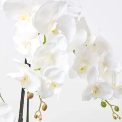 Künstliche Weiße Phalaenopsis-Orchidee Im Dunkelgrauen Keramik-Topf, 82 Cm -Homescapes Sale Haus ap1584 5