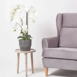 Künstliche Weiße Phalaenopsis-Orchidee Im Dunkelgrauen Keramik-Topf, 82 Cm -Homescapes Sale Haus ap1584 7
