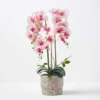 Künstliche Pink-weiße Phalaenopsis-Orchidee Im Hellgrauen Zement-Topf, 64 Cm