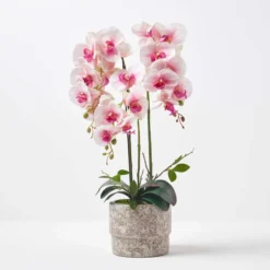 Künstliche Pink-weiße Phalaenopsis-Orchidee Im Hellgrauen Zement-Topf, 64 Cm