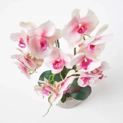 Künstliche Pink-weiße Phalaenopsis-Orchidee Im Hellgrauen Zement-Topf, 64 Cm -Homescapes Sale Haus ap1586 3