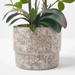 Künstliche Pink-weiße Phalaenopsis-Orchidee Im Hellgrauen Zement-Topf, 64 Cm -Homescapes Sale Haus ap1586 4