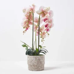 Künstliche Pink-weiße Phalaenopsis-Orchidee Im Hellgrauen Zement-Topf, 64 Cm -Homescapes Sale Haus ap1586 6