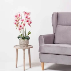 Künstliche Pink-weiße Phalaenopsis-Orchidee Im Hellgrauen Zement-Topf, 64 Cm -Homescapes Sale Haus ap1586 7