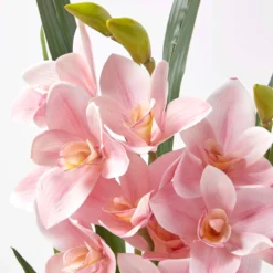 Künstliche Pinke Orchidee Im Dunkelgrauen Zement-Topf, 58 Cm -Homescapes Sale Haus ap1589 5