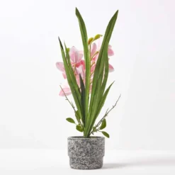 Künstliche Pinke Orchidee Im Dunkelgrauen Zement-Topf, 58 Cm -Homescapes Sale Haus ap1589 6