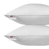 Kopfkissen 80 X 80 Cm, Gänsefeder- Und Daunenkissen, 2er Set