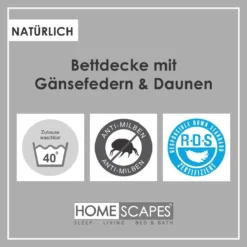 Leichte Sommerbettdecke Wärmeklasse 2, Federbettdecke Mit Gänsefedern Und -Daunen 9 Leichte Sommerbettdecke Wärmeklasse 2, Federbettdecke Mit Gänsefedern Und -Daunen -Homescapes Sale Haus goose feather down duvets 4
